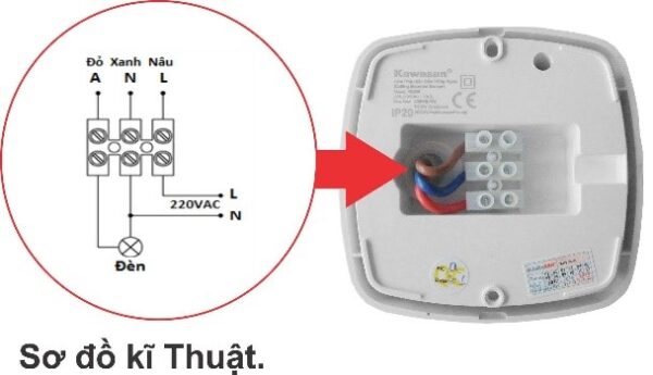 Sơ đồ nối dây của công tắc cảm biến PS286