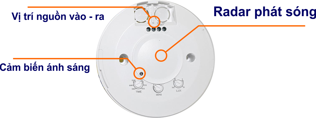 Cấu tạo chi tiết