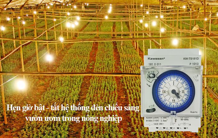 Hẹn giờ bật - tắt đèn trong vườn ươm trong nông nghiệp
