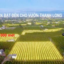 Điều khiển từ xa bật tắt đèn cho vườn thanh long